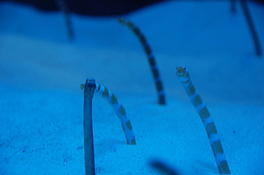 e0090926_16474196.jpg