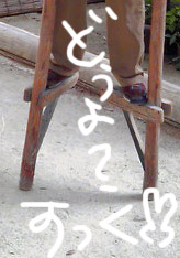 e0112226_148532.jpg