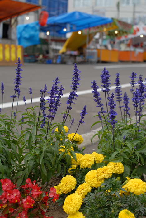 b0092232_05899.jpg