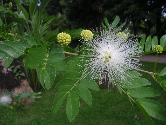 c0127933_1524175.jpg