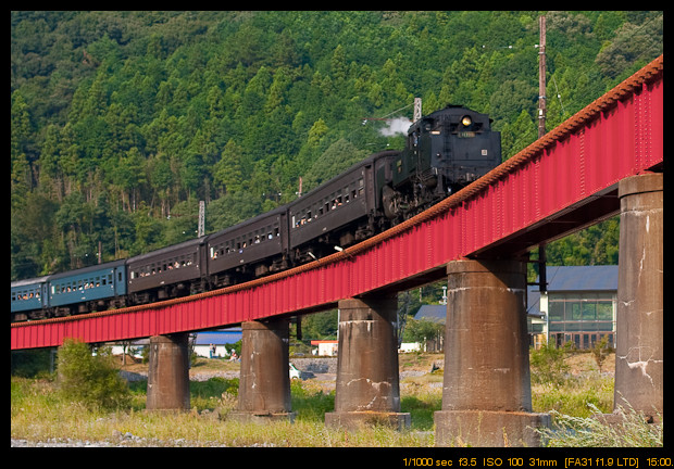 大井川鐵道　その1_e0191335_23273538.jpg