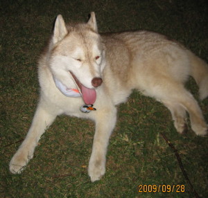 e0121548_20292348.jpg