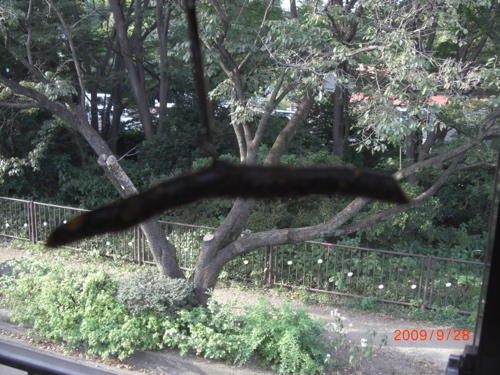 b0152049_16154082.jpg