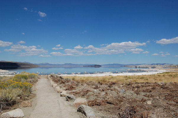 d0114149_8384770.jpg