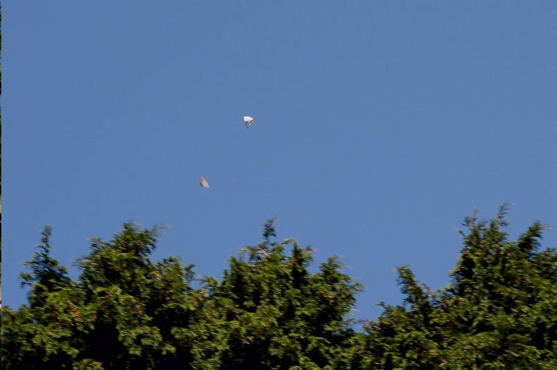 e0194952_1550233.jpg