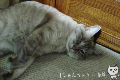 お疲れ組と、それほどでもない組_e0031853_20414163.jpg