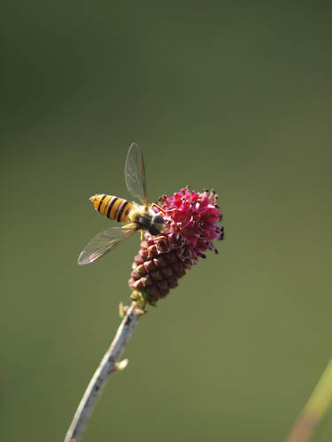 f0202957_14555999.jpg
