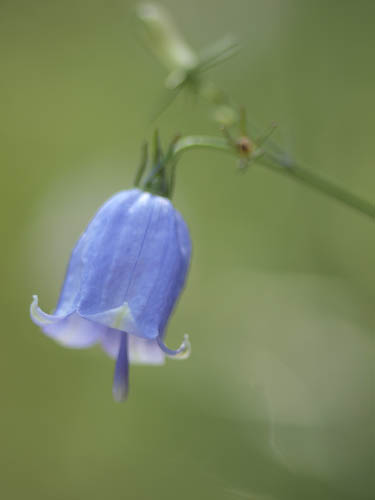 f0202957_14575151.jpg