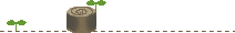 c0117058_9503642.gif