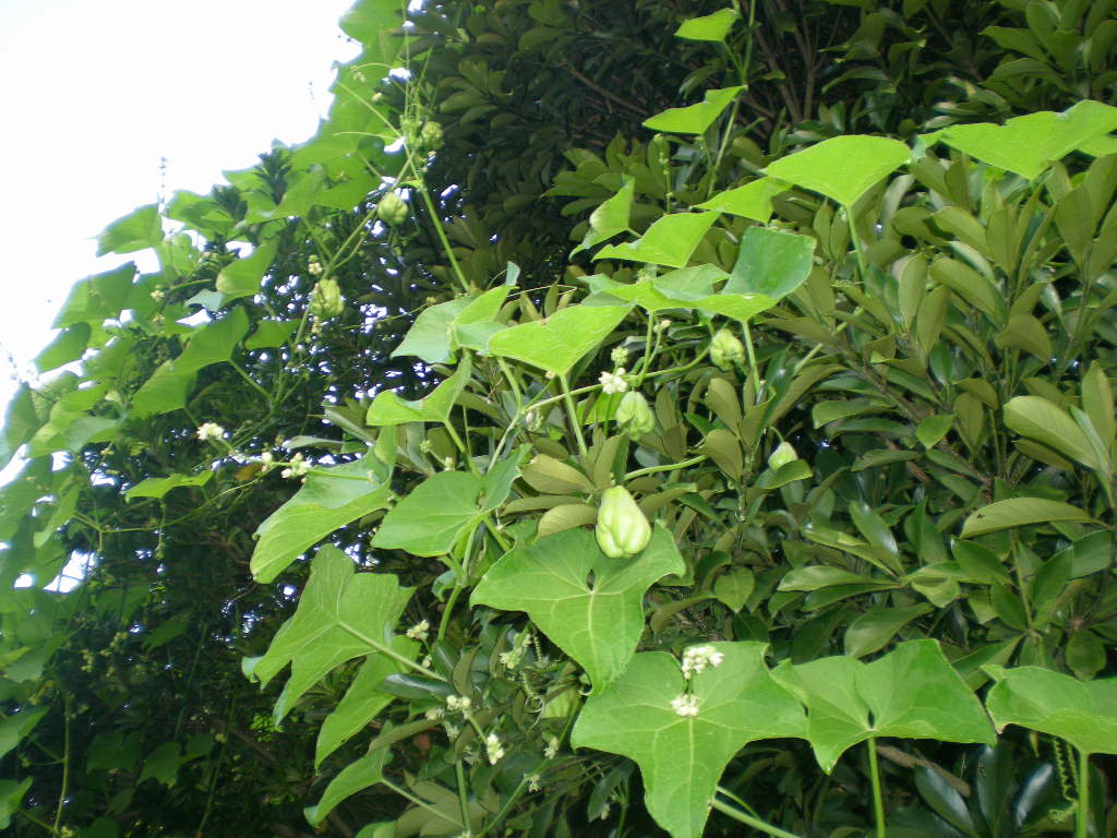 2009年9月28日(月)こころちゃんは素敵なモデル?_f0060461_11484954.jpg