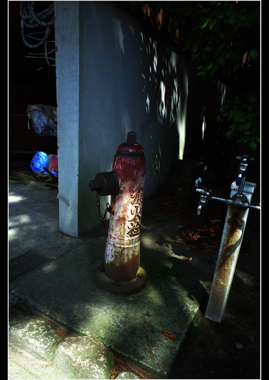 c0168172_139687.jpg