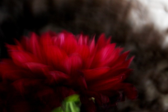 d0045374_22103614.jpg