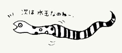 脱皮_f0169675_14442584.jpg