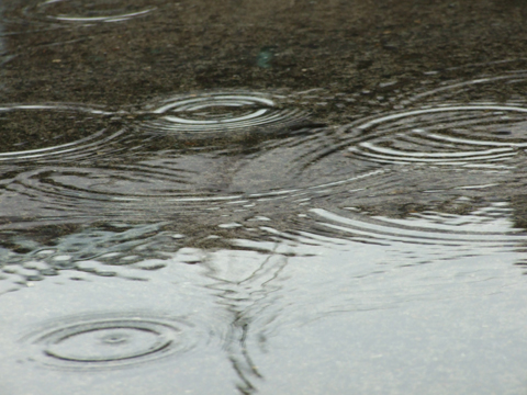 ★桐生、雨。_a0106978_293099.jpg