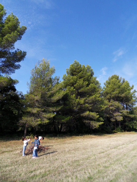 f0136579_1934585.jpg