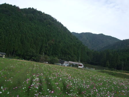 花折越え達成！鯖街道～琵琶湖（前編：出町柳～静原～大原～途中峠～花折）_e0138081_1632542.jpg
