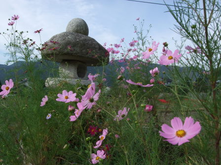 花折越え達成！鯖街道～琵琶湖（前編：出町柳～静原～大原～途中峠～花折）_e0138081_16405814.jpg