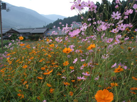 花折越え達成！鯖街道～琵琶湖（前編：出町柳～静原～大原～途中峠～花折）_e0138081_1642238.jpg