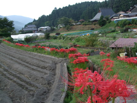 花折越え達成！鯖街道～琵琶湖（前編：出町柳～静原～大原～途中峠～花折）_e0138081_16431463.jpg