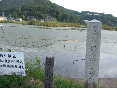 花折越え達成！鯖街道～琵琶湖（前編：出町柳～静原～大原～途中峠～花折）_e0138081_1644194.jpg