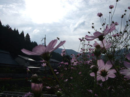 花折越え達成！鯖街道～琵琶湖（前編：出町柳～静原～大原～途中峠～花折）_e0138081_16444615.jpg