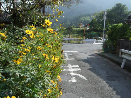 花折越え達成！鯖街道～琵琶湖（前編：出町柳～静原～大原～途中峠～花折）_e0138081_1649531.jpg