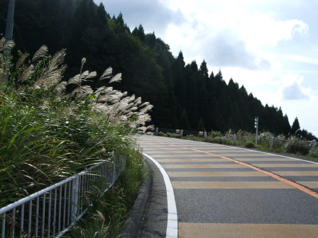 花折越え達成！鯖街道～琵琶湖（前編：出町柳～静原～大原～途中峠～花折）_e0138081_17184067.jpg