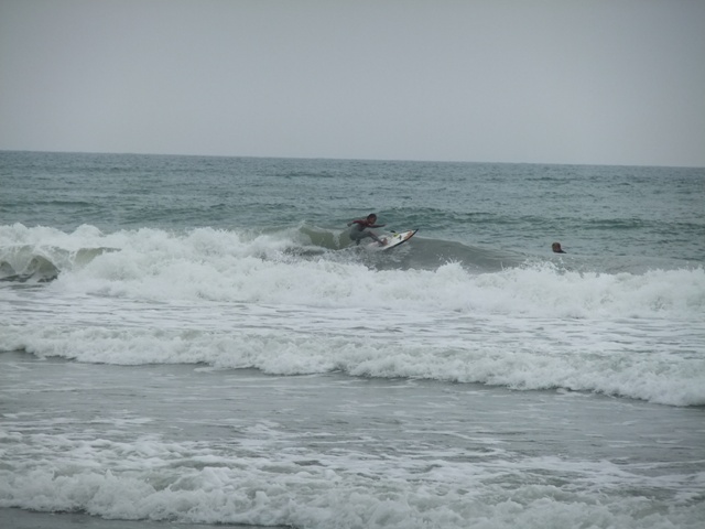 a0074985_1512775.jpg