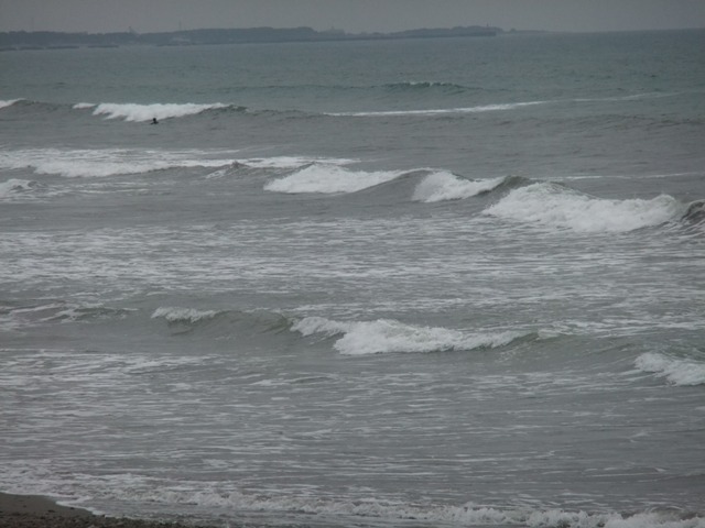 a0074985_1619519.jpg