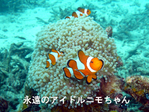 初めての水中は・・・?_f0144385_19594182.jpg