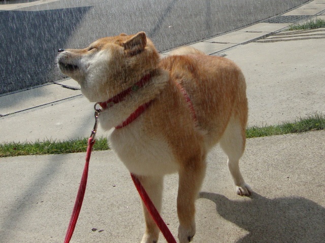 ふるさと広場_a0126590_2232963.jpg