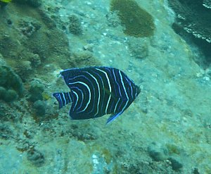f0079996_1435928.jpg