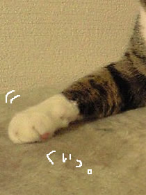 ねこにゃん棒_c0035001_14433335.jpg