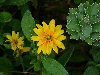 a0123003_13554346.jpg