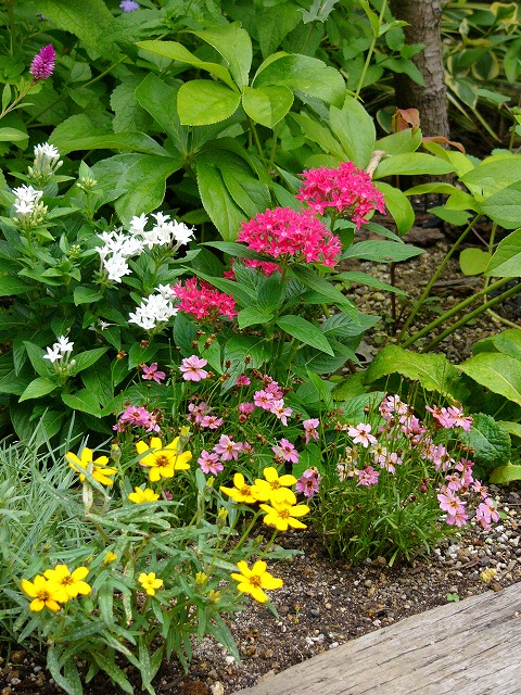 a0123003_1417734.jpg