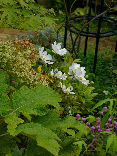 a0123003_1485934.jpg