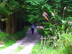 武甲山_a0036808_18323416.jpg