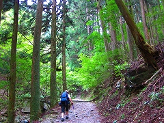 武甲山_a0036808_18341688.jpg