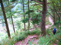 武甲山_a0036808_18521243.jpg