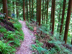武甲山_a0036808_18522658.jpg