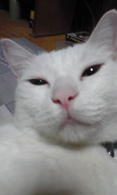 c0180209_20565697.jpg