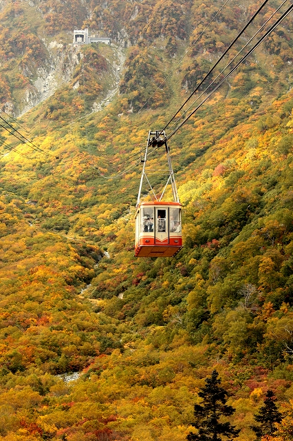 立山黒部アルペンルート 日帰り旅行_f0205110_1785375.jpg