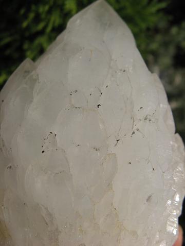 e0139012_1610455.jpg