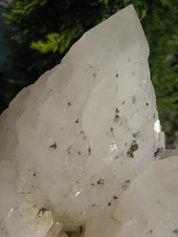 e0139012_1683646.jpg