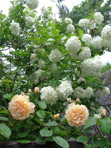 c0212214_0213077.jpg