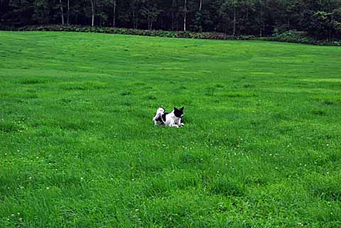 a0094015_582919.jpg