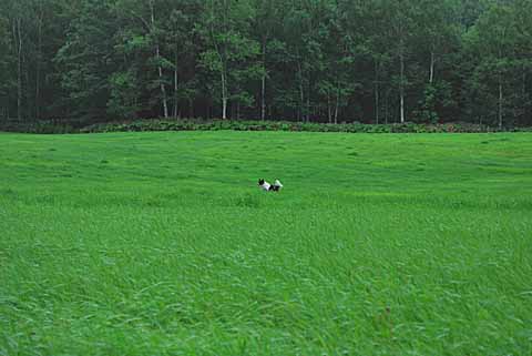 a0094015_58717.jpg