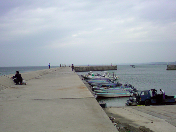 b0186119_12144637.jpg