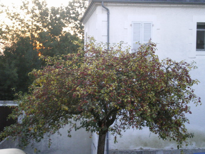 c0124619_16391430.jpg