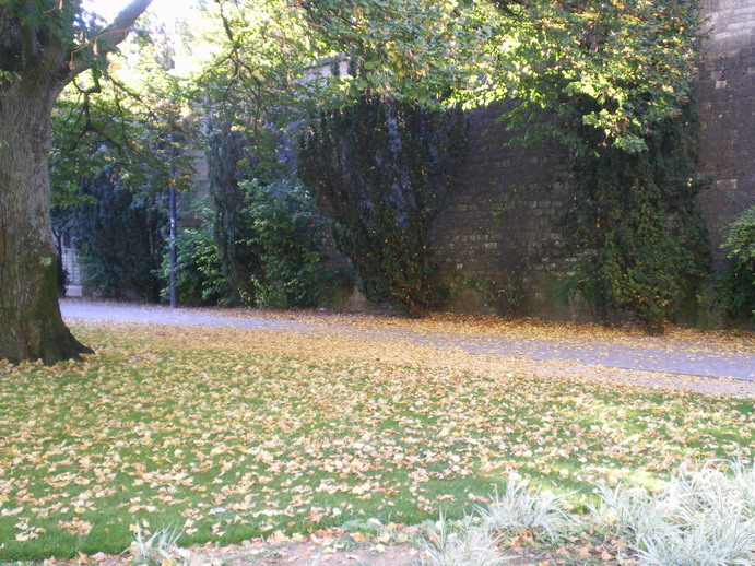 c0124619_645118.jpg